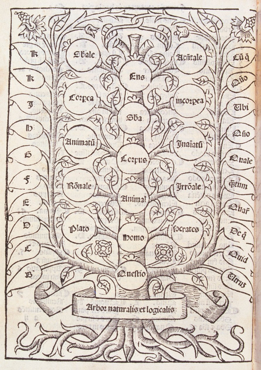 来自&39;De Nova Logica&39;的天体阶梯由Ramon Llull（c.1235-1316）c.1512 作者 西班牙语学校