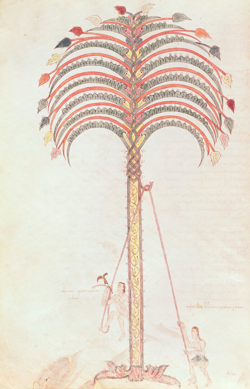 Fol.147v棕榈树的隐喻，来自Girona Beatus 作者 西班牙语学校