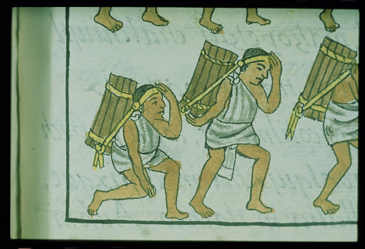帕拉特女士。 218-220第九册阿兹台克人搬运工，来自Bernardino de Sahagun的&39;佛罗伦萨法典&39;，第1540-85页 作者 西班牙语学校