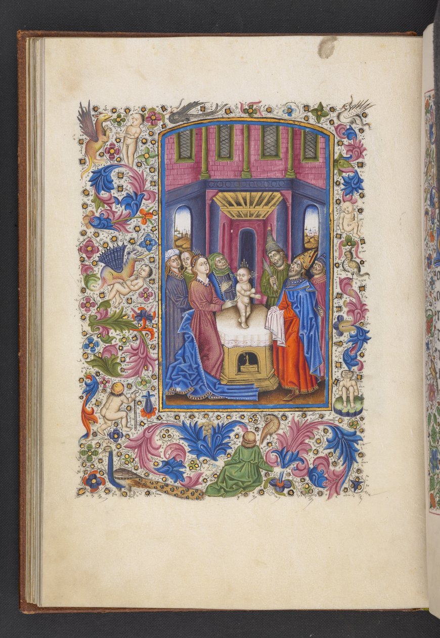 添加 MS 50004 f.41v 《割礼》，选自 "时间之书"（牛皮纸上的墨水、彩色和金色）。 作者 西班牙语学校