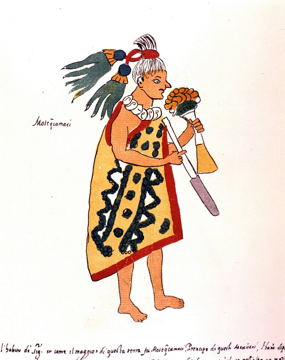 Aztec priest in Codex Vaticanus 3738 (Codex Vat. Rios). Facsimile of the manuscript by Dominican Pedro de los Rios, between 1570 and 1589, Bibl. Vatican. 作者 西班牙语学校