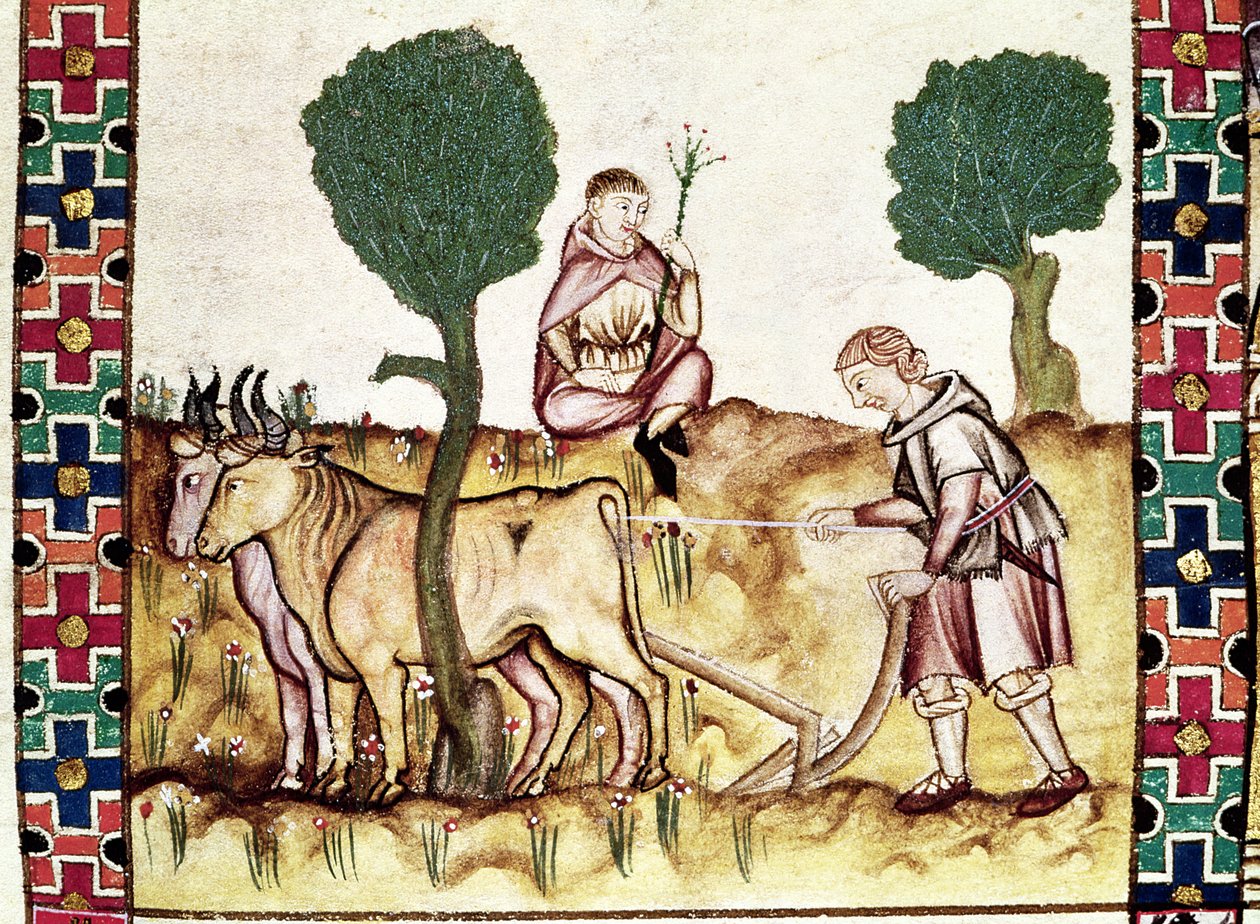 Fol.237r一位农民教他的儿子耕田 作者 西班牙语学校