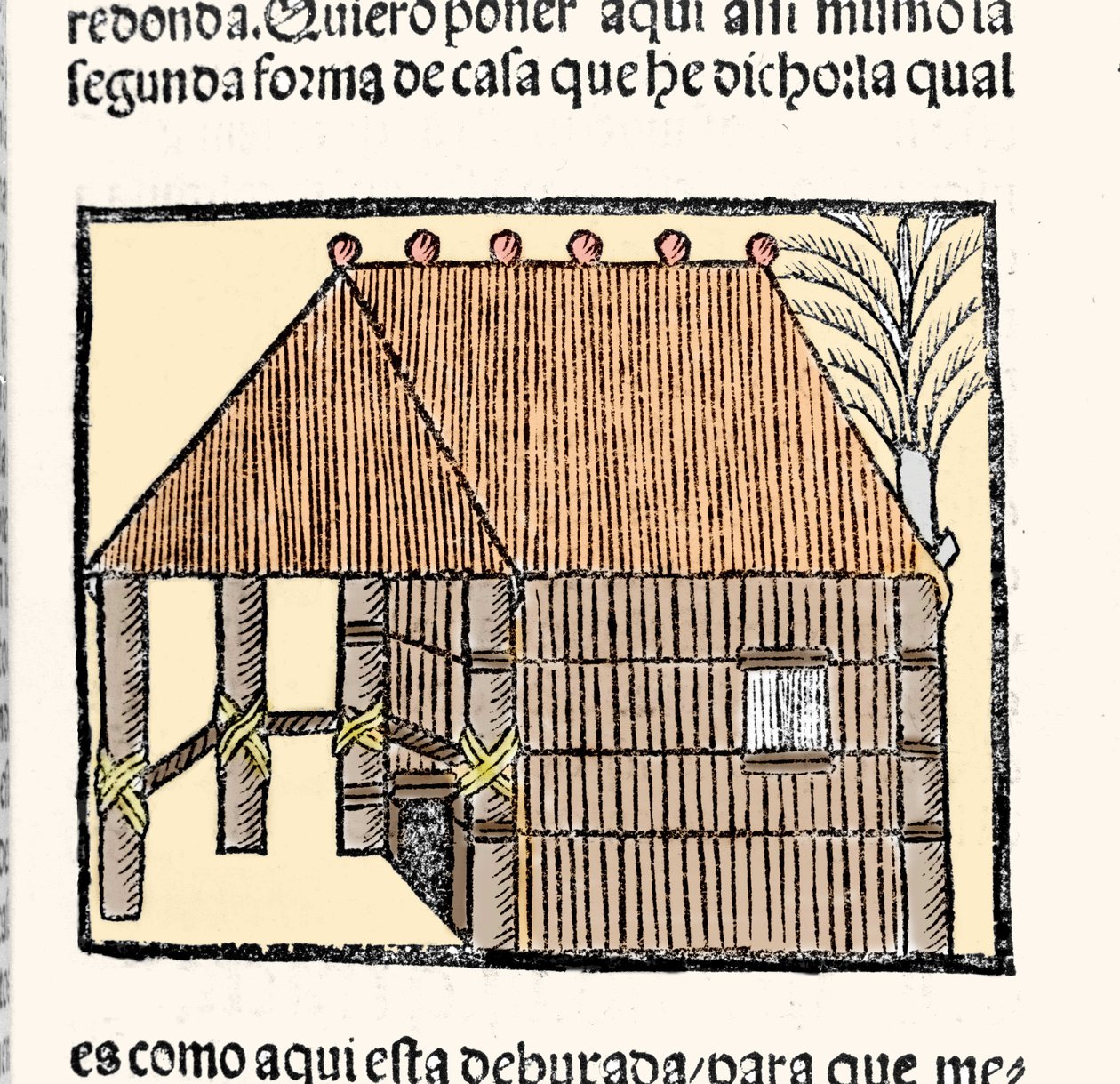 栖息地：Indios 小屋的描述。 雕刻自 Gonzalo Fernandez de Oviedo 或 Hernandez de Oviedo y Valdes (1478-1557) 的“印度群岛、岛屿和海洋大陆的通史”一书 作者 西班牙语学校