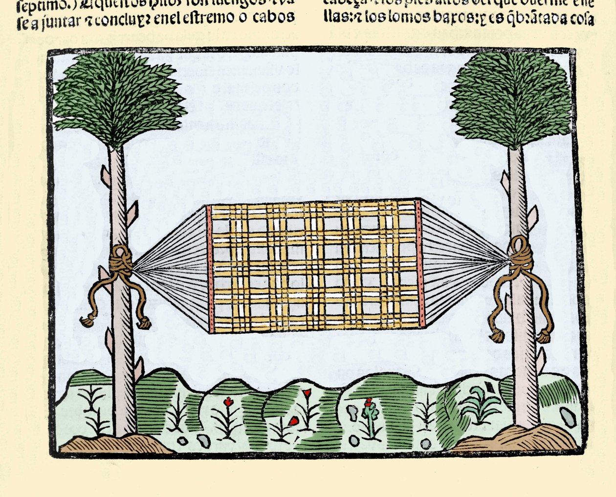 Invention of the hammock: this invention revolutionized the life of sailors aboard ships. They slept before on the wet deck. Engraving from the book “Historia general de las Indias, islas y tierra firme del mar oceano”” by Gonzalo Fernandez de Oviedo (Gonz 作者 西班牙语学校