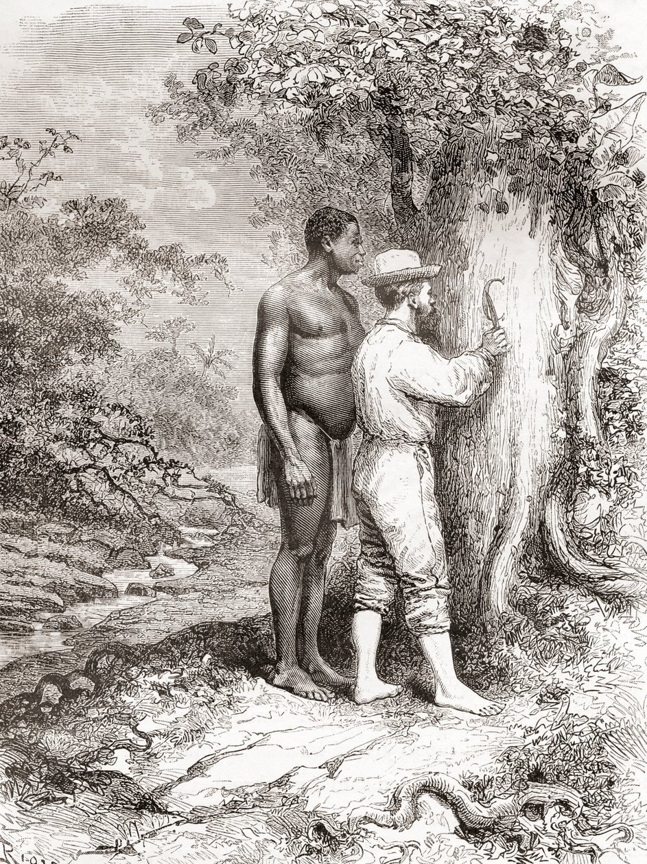 Jules Crevaux在1878年探索法属圭亚那期间，在Oyapock或Oiapoque河岸的一棵树上雕刻他的首字母 作者 西班牙语学校