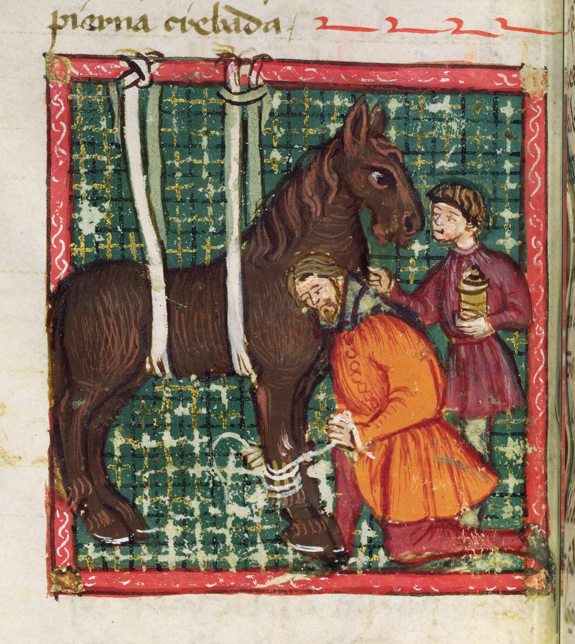 女士214 fol.31v修复马的骨折，来自Libro de Menescalcia y Albeyteria by Juan Alvarez，c.1390 作者 西班牙语学校