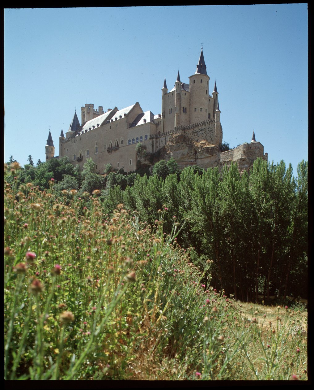 View of the alcazar 作者 西班牙语学校