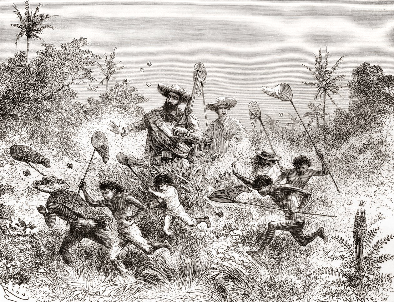 委内瑞拉比亚维森西奥ÉdouardFrançoisAndré在1875年至1876年在安第斯山麓的植物园探险中捕捉蝴蝶 作者 西班牙语学校