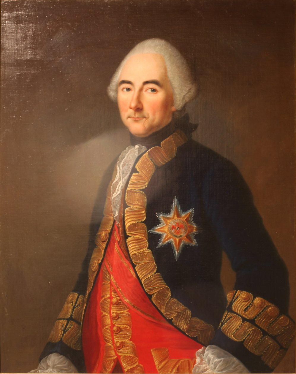 Jean-Jacques的画像，Beausobre的伯爵，中尉制服 作者 斯佩格格