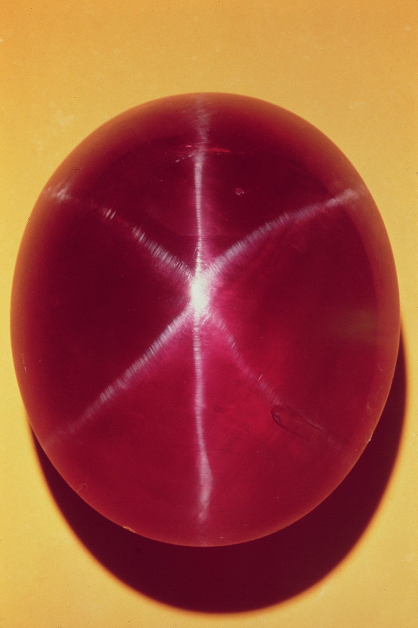 Rosser Reeves Star Ruby（红宝石） 作者 斯里兰卡学校