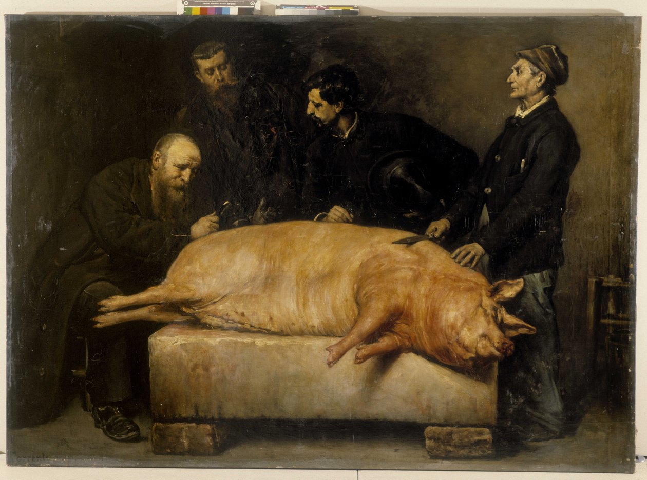 士的宁（一种从核桃呕吐物中提取的剧毒生物碱）的实验 作者 Stanislas Torrents y de Amat