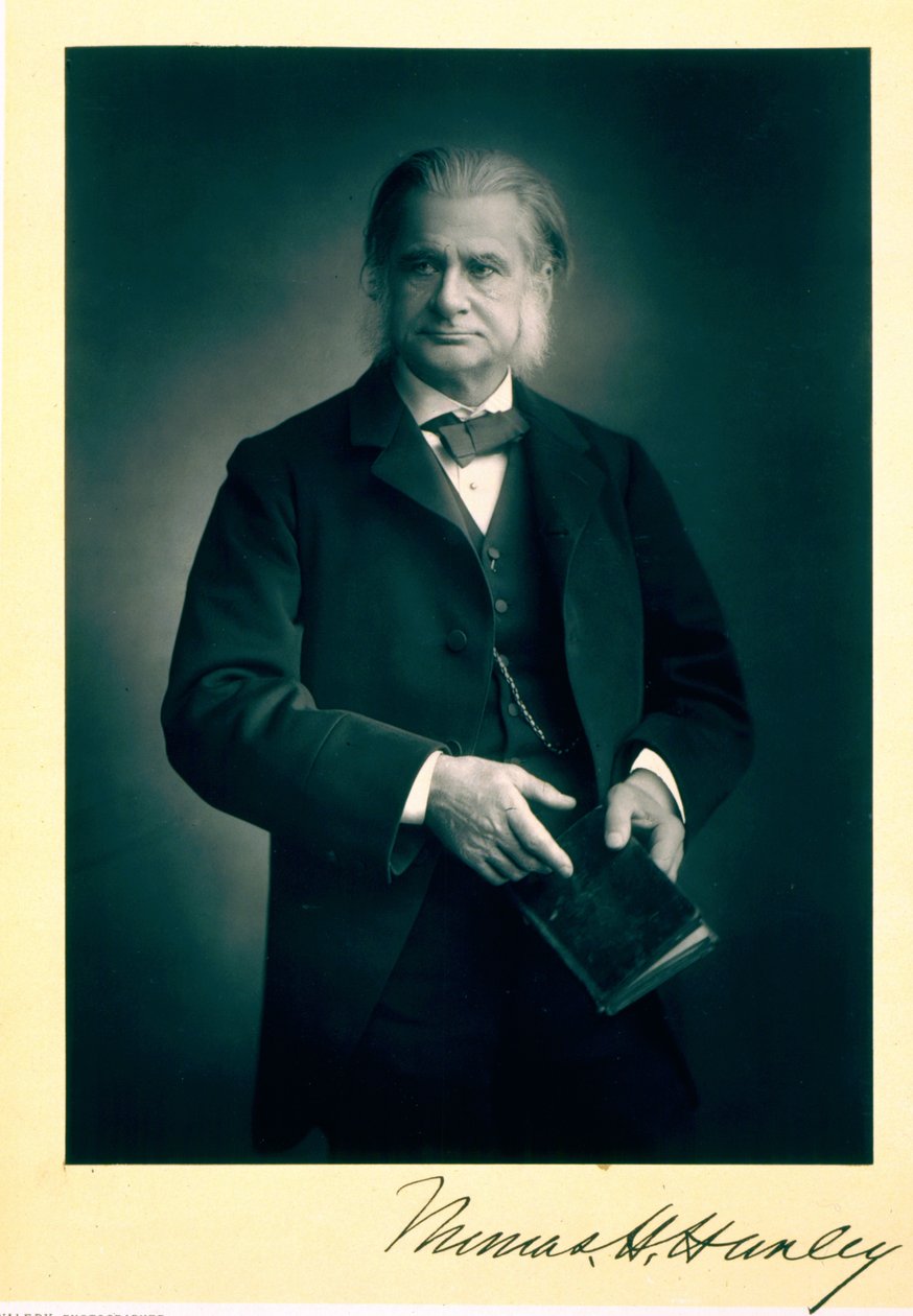 Thomas H. Huxley教授（1825-95），生物学家，肖像照片 作者 斯坦尼斯劳斯·瓦勒里