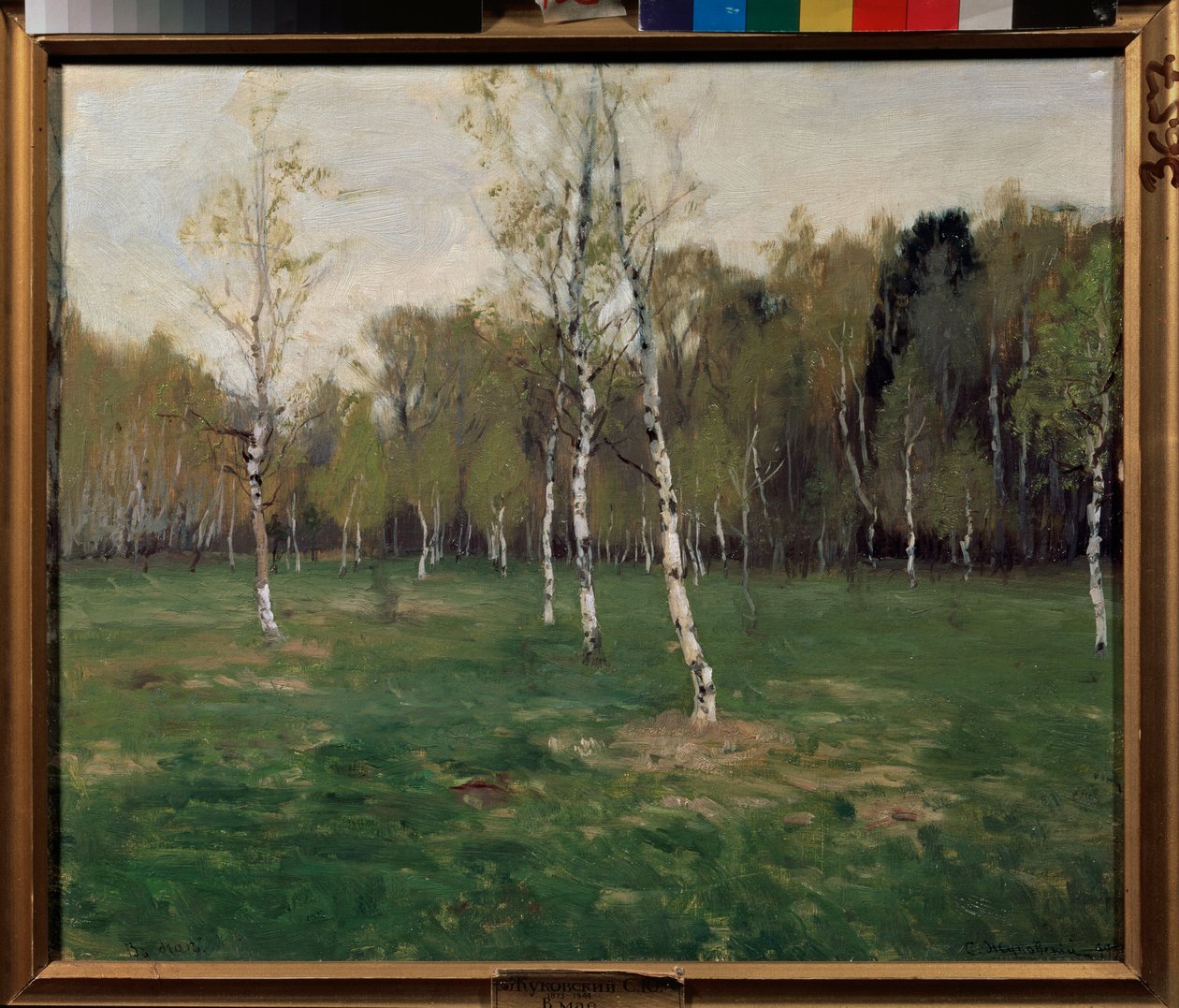 在五月。 斯坦尼斯拉夫·尤利安诺维奇·朱可夫斯基 (Zhukovsky) (1873-1944) 绘画，布面油画 作者 斯坦尼斯拉夫·朱利安诺维奇·茹科夫斯基