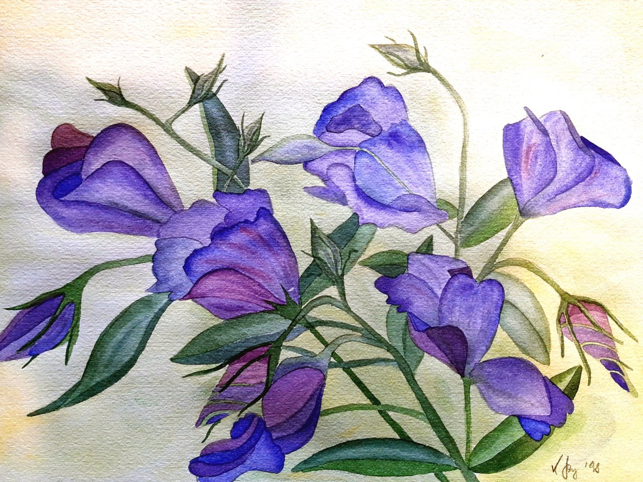 紫色的花 作者 Steegs-Art / 卡琳