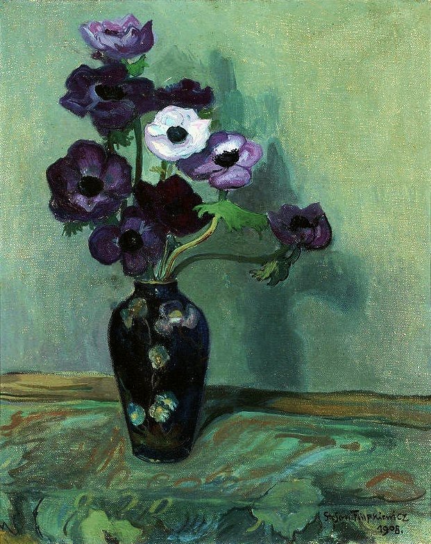 海葵。 作者 斯蒂芬·菲利普凯维奇（Stefan Filipkiewicz）