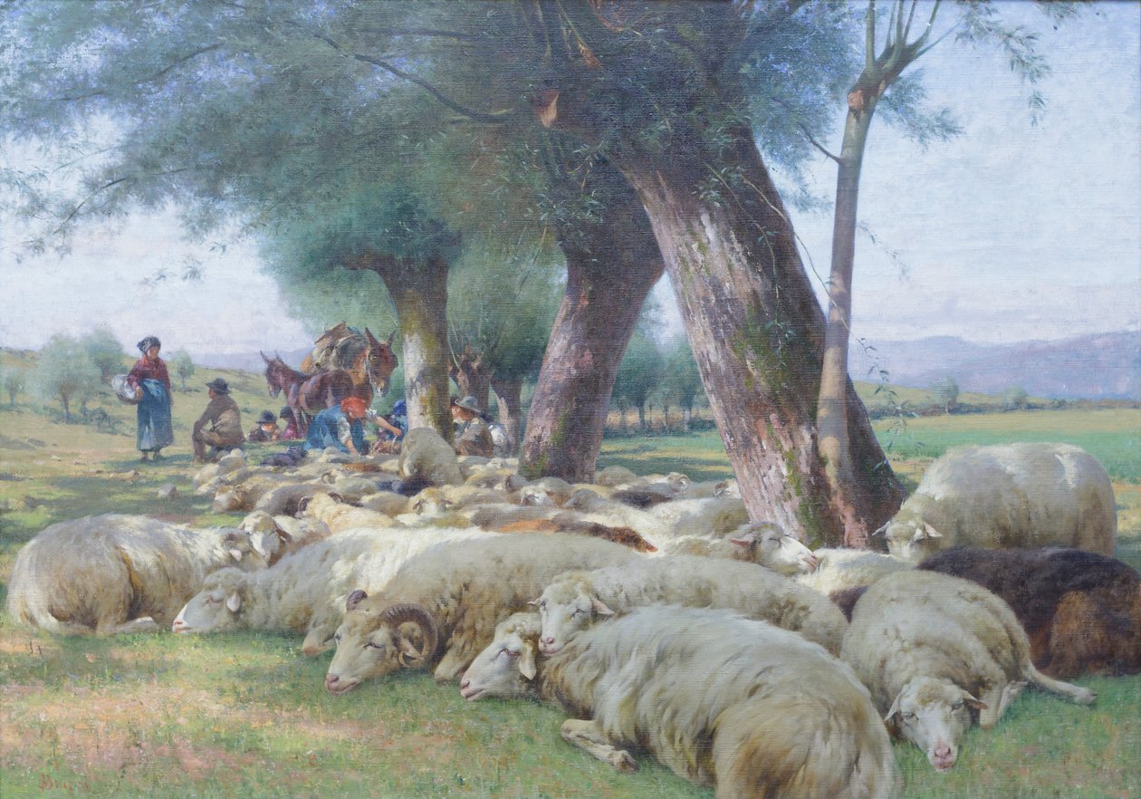 休息的绵羊，约 1900 年（布面油画） 作者 斯蒂法诺·布鲁齐
