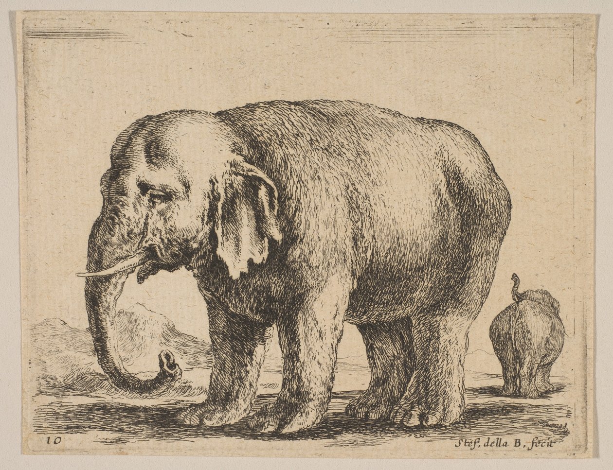 图10：大象，来自各种动物Diversi animali，ca。 1641。 作者 斯蒂法诺·德拉·贝拉