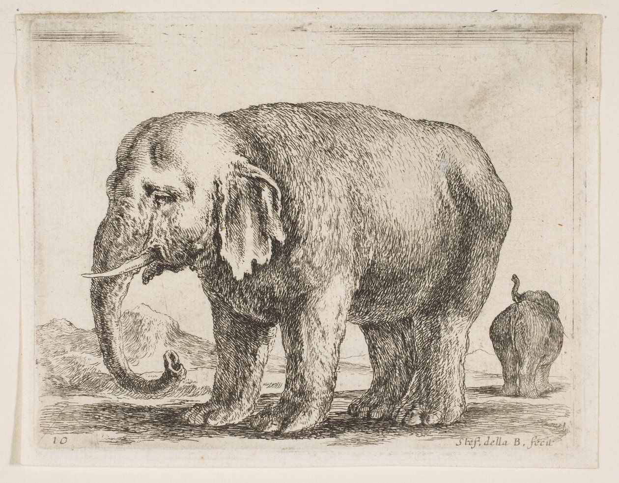 图10：大象，来自各种动物Diversi animali，ca。 1641。 作者 斯蒂法诺·德拉·贝拉