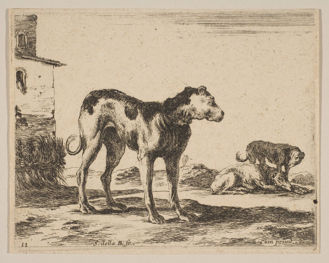 图11：狗，来自各种动物Diversi animali，ca. 1641。 作者 斯蒂法诺·德拉·贝拉