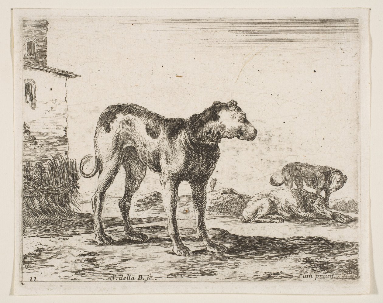 图11：狗，来自各种动物Diversi animali，ca. 1641。 作者 斯蒂法诺·德拉·贝拉