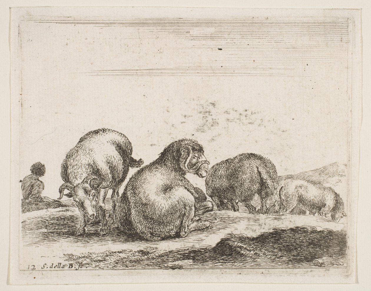 图12：牧场上的绵羊和公羊，购自Diversi animali，ca。 1641。 作者 斯蒂法诺·德拉·贝拉