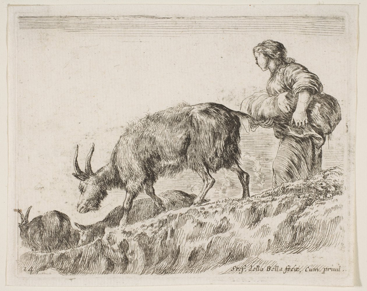 图板14：来自各种动物Diversi animali，ca。的牧羊人放牧山羊。 1641。 作者 斯蒂法诺·德拉·贝拉