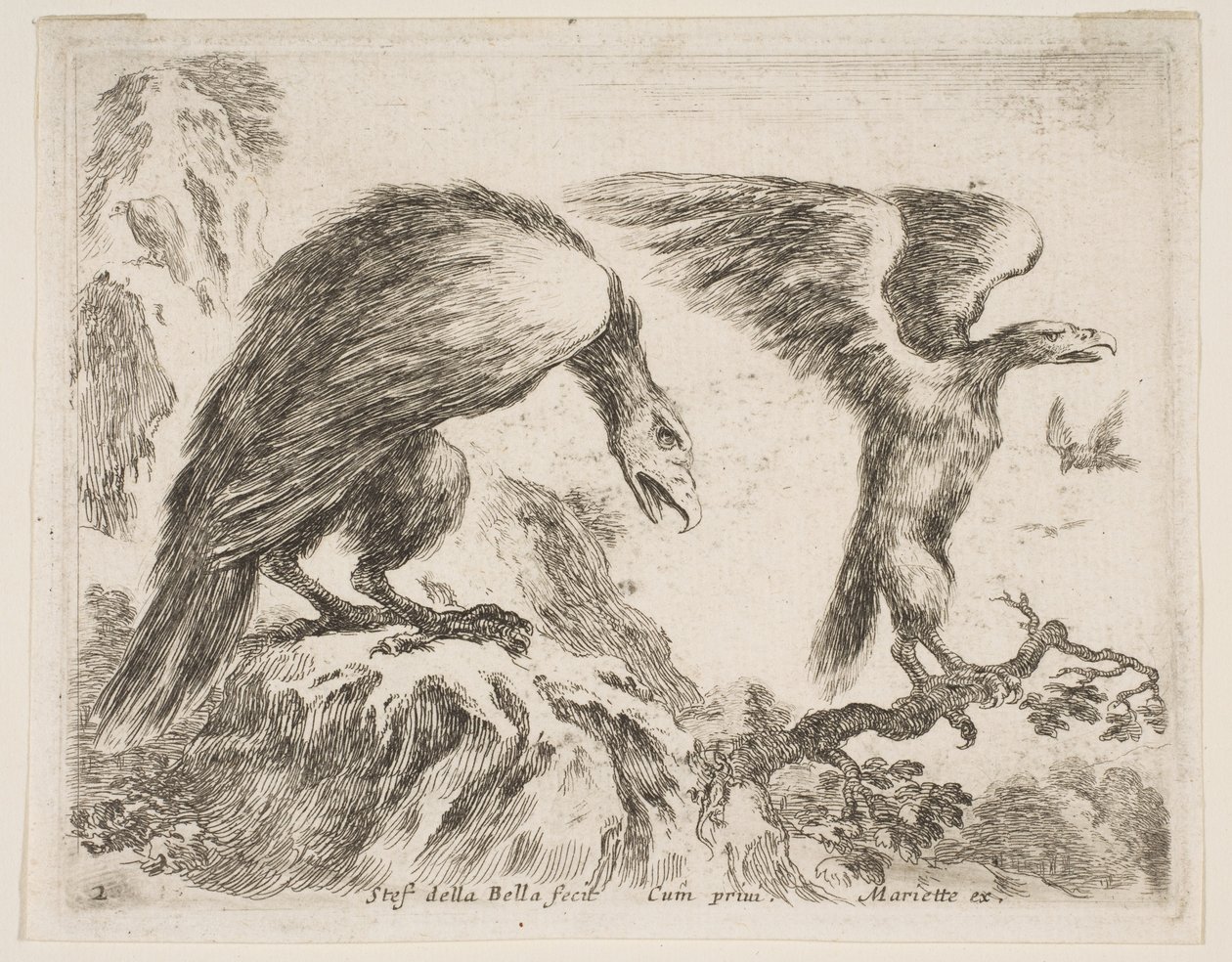 图2：老鹰和小鹰，出自各种动物Diversi animali，ca.。 1641。 作者 斯蒂法诺·德拉·贝拉