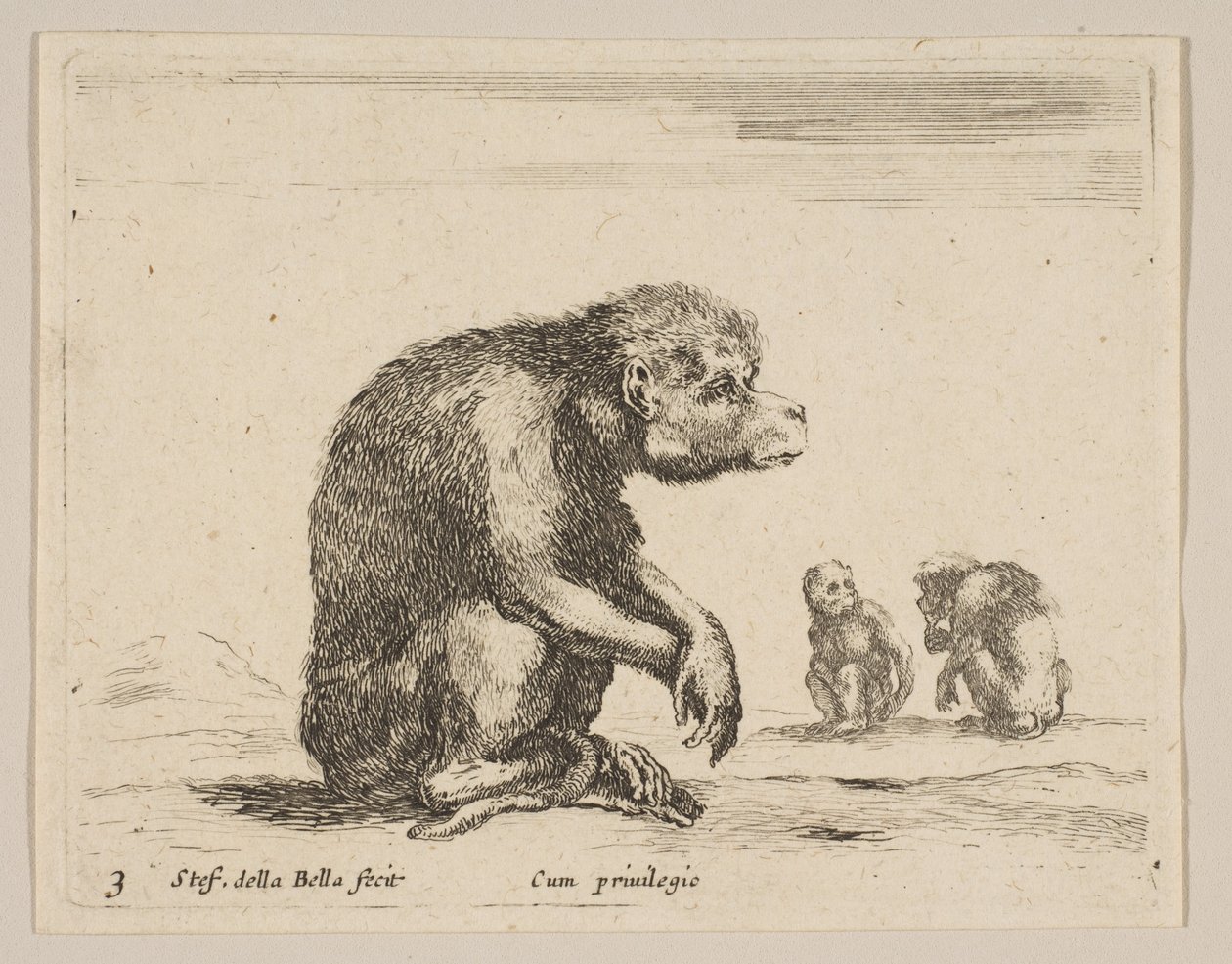 图3：坐着的猴子，来自各种动物Diversi animali，ca. 1641。 作者 斯蒂法诺·德拉·贝拉