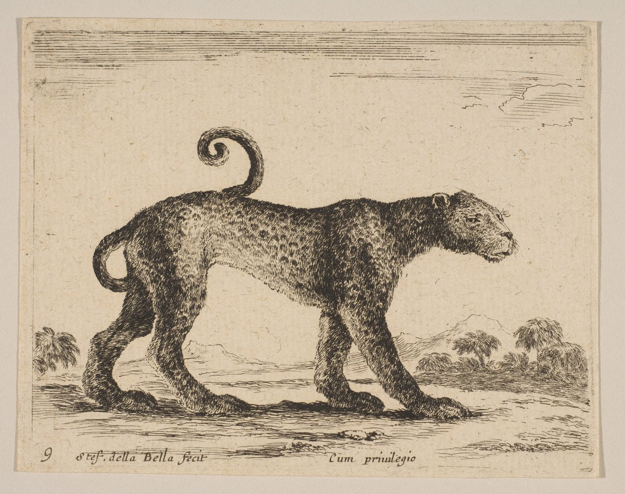 图9：豹，来自各种动物Diversi animali，ca。 1641。 作者 斯蒂法诺·德拉·贝拉