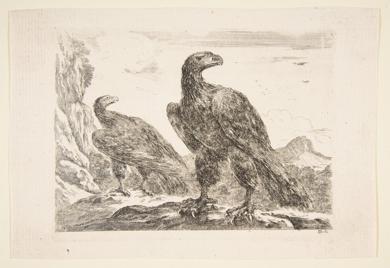 两只老鹰，出自《老鹰》Les aigles，约1651年。 作者 斯蒂法诺·德拉·贝拉