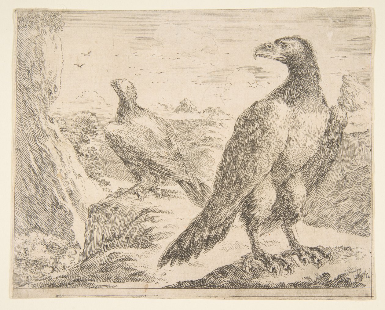 两只老鹰，来自Eagles Les aigles，ca。 1651。 作者 斯蒂法诺·德拉·贝拉