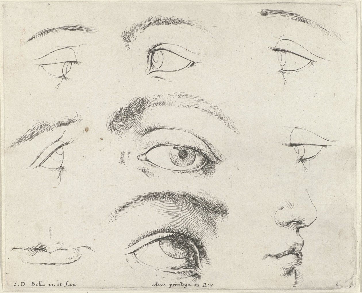 七只眼睛、两张嘴巴和一个鼻子
绘画原理（系列名称）
I principii del disegno（系列名称） 作者 斯蒂法诺·德拉·贝拉