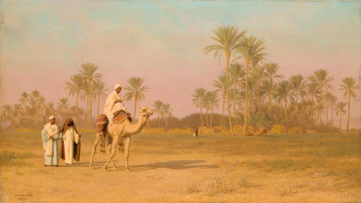 Glühendheißer Tag (Algerien) 作者 斯蒂芬·瓦拉迪斯拉瓦维奇·巴卡洛维奇
