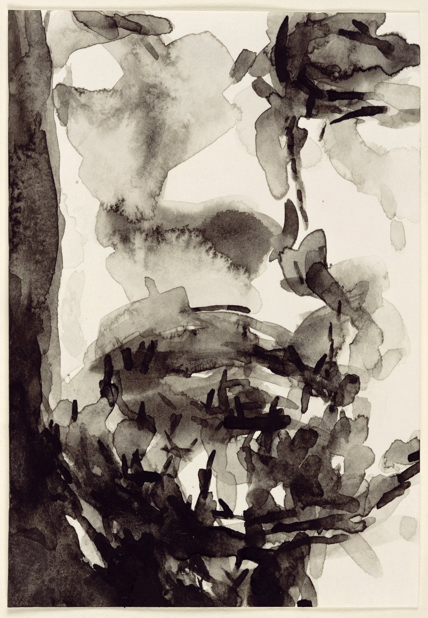 Face，2001（wc on paper） 作者 史蒂芬·费纳