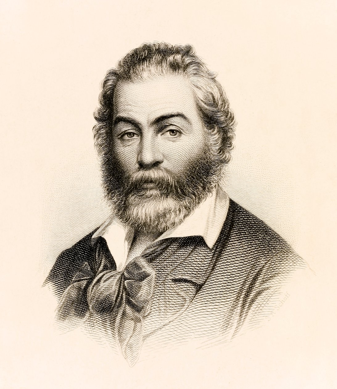 美国诗人沃尔特·惠特曼（Walt Whitman）1860年版的《草叶》中的诗集 作者 斯蒂芬·阿隆佐·肖夫