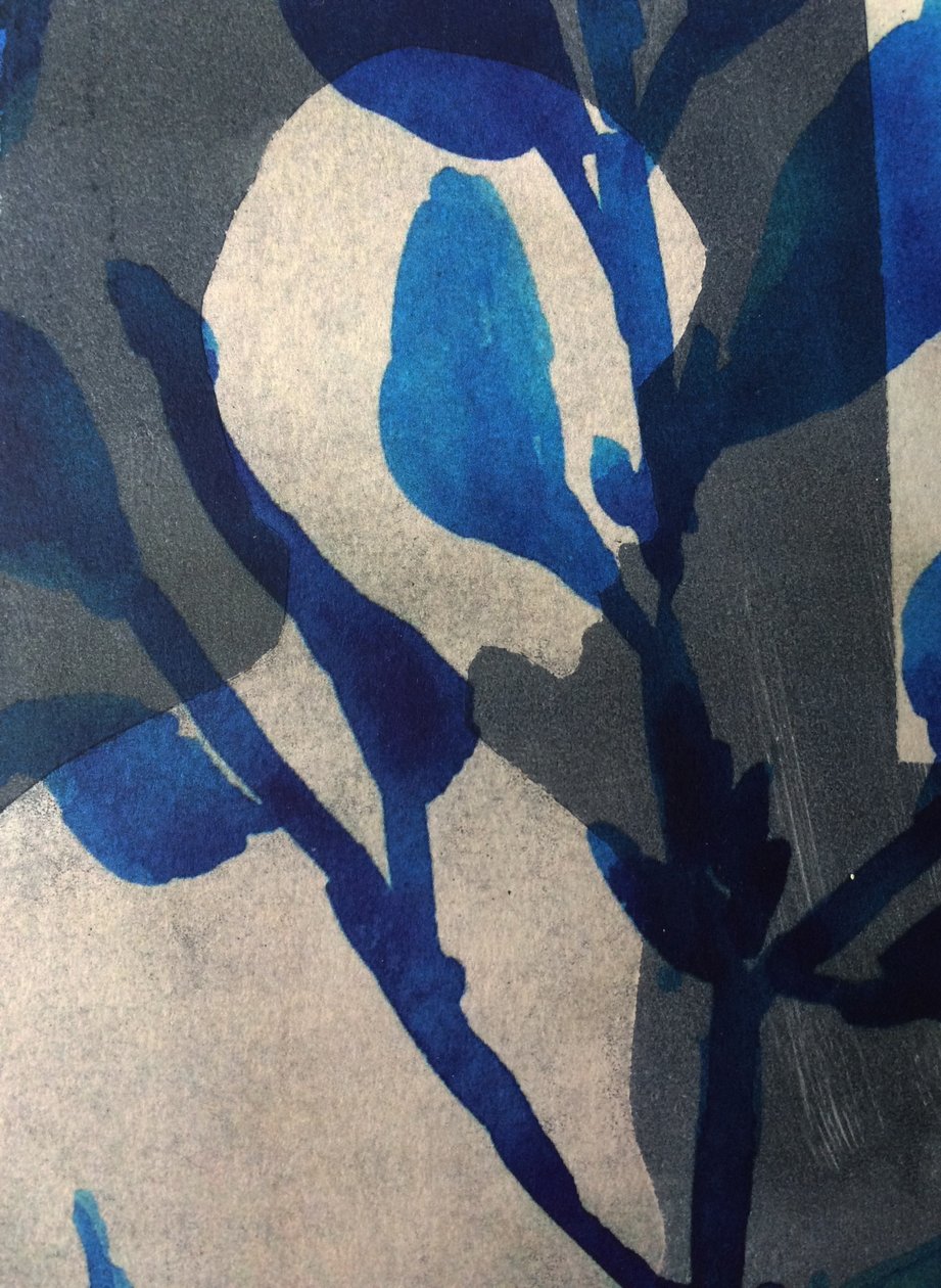 Argelouse II》，2016 年（数码） 作者 史蒂芬·道
