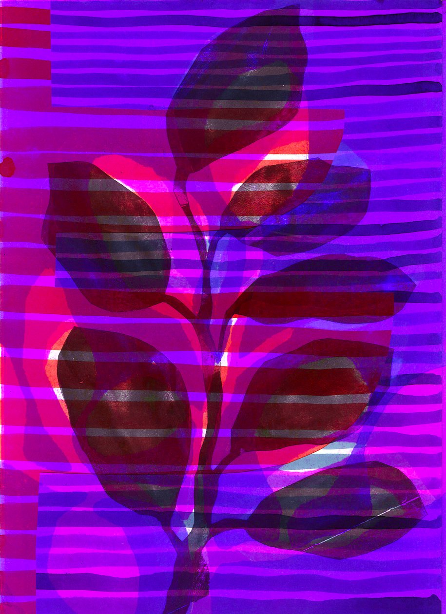植物条纹 I》，2018 年（数字版） 作者 史蒂芬·道