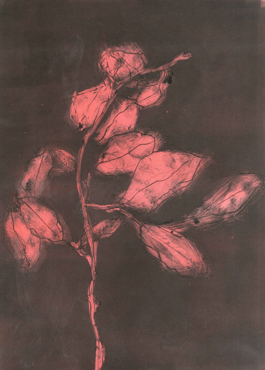 树叶 I》，2015 年（纸上单版画） 作者 史蒂芬·道