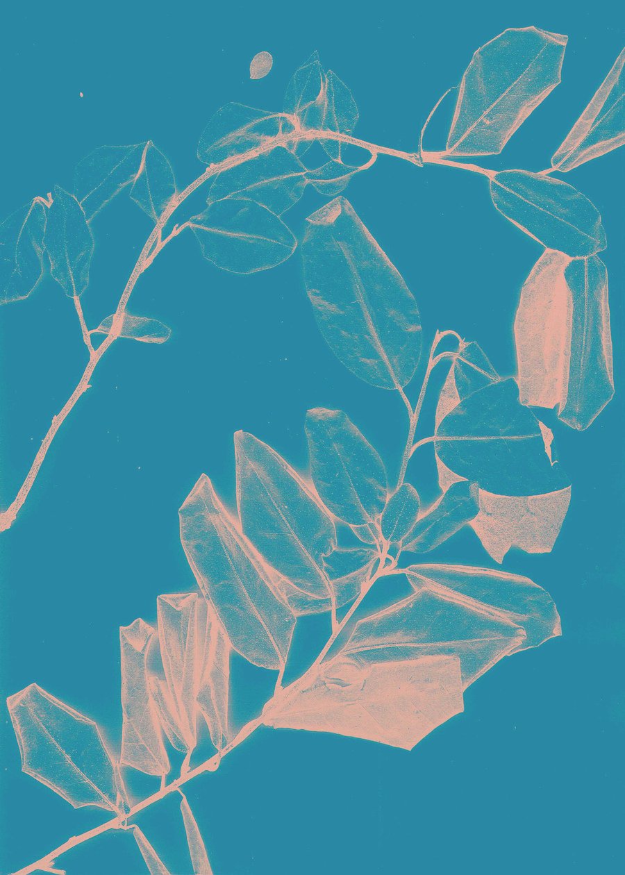 弗雷尔六号黎明，2018（数字） 作者 史蒂芬·道