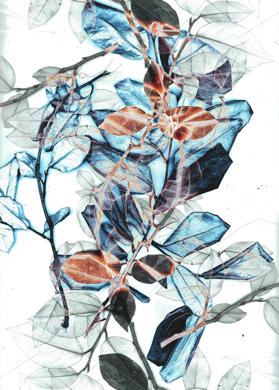 弗雷尔 X，2018 年（数字） 作者 史蒂芬·道