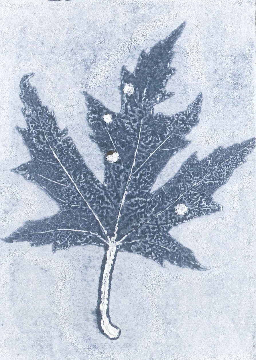 消失 II》，2015 年（纸上单版画） 作者 史蒂芬·道