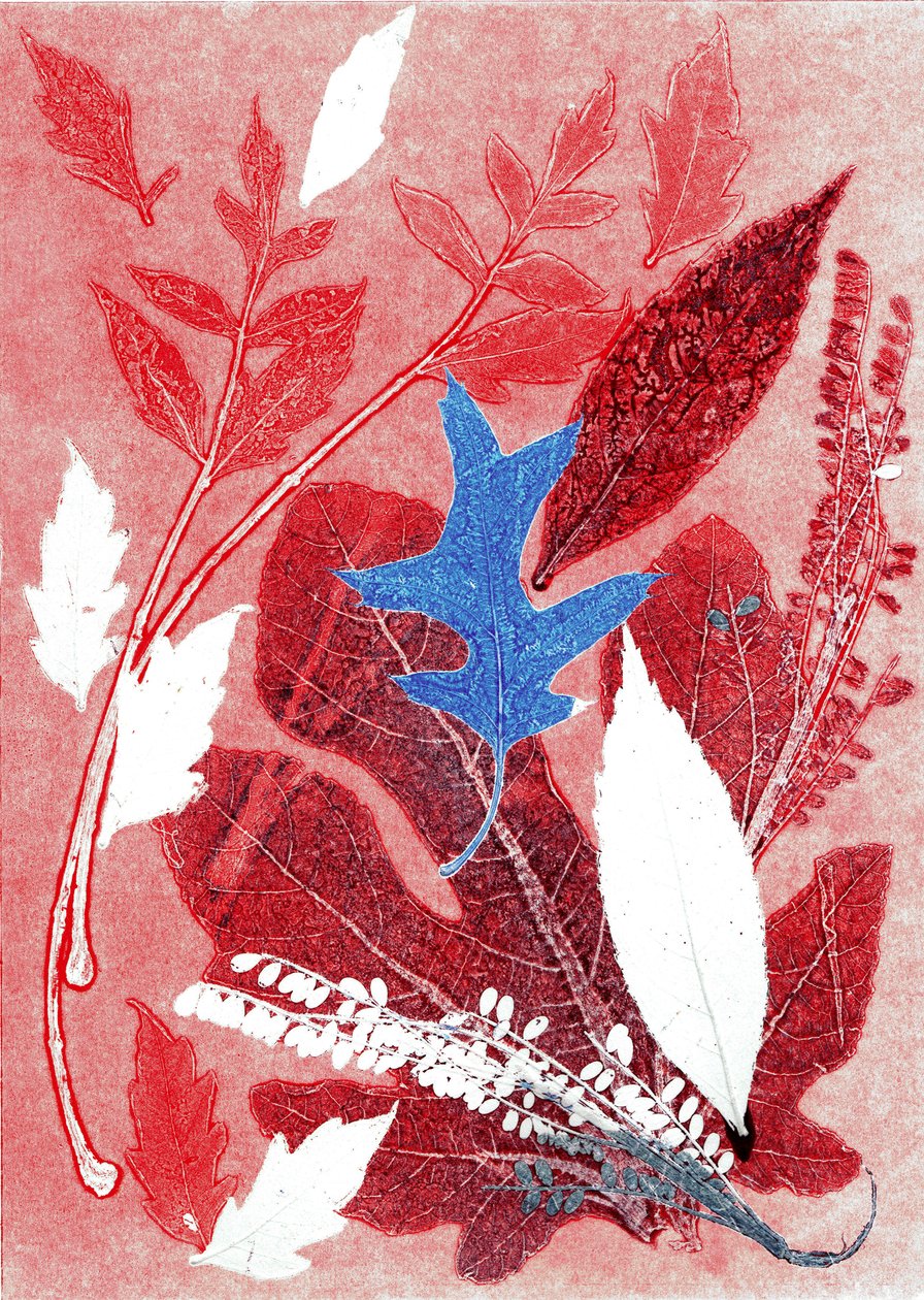 乔尔 III》，2017 年（纸上单版画） 作者 史蒂芬·道