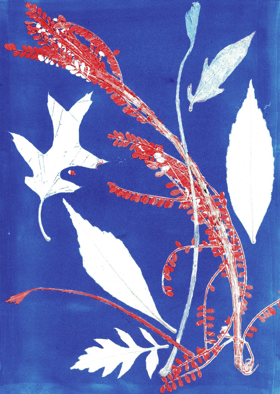 Jol I，2017（纸上单版画） 作者 史蒂芬·道