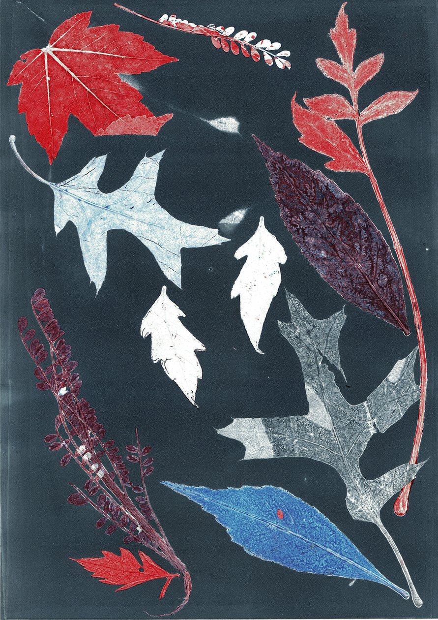 乔尔 X》，2017 年（纸上单版画） 作者 史蒂芬·道