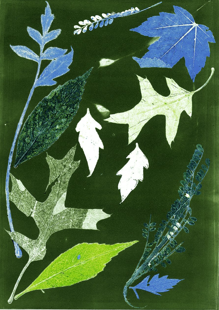乔尔 X 绿，2017（数字） 作者 史蒂芬·道