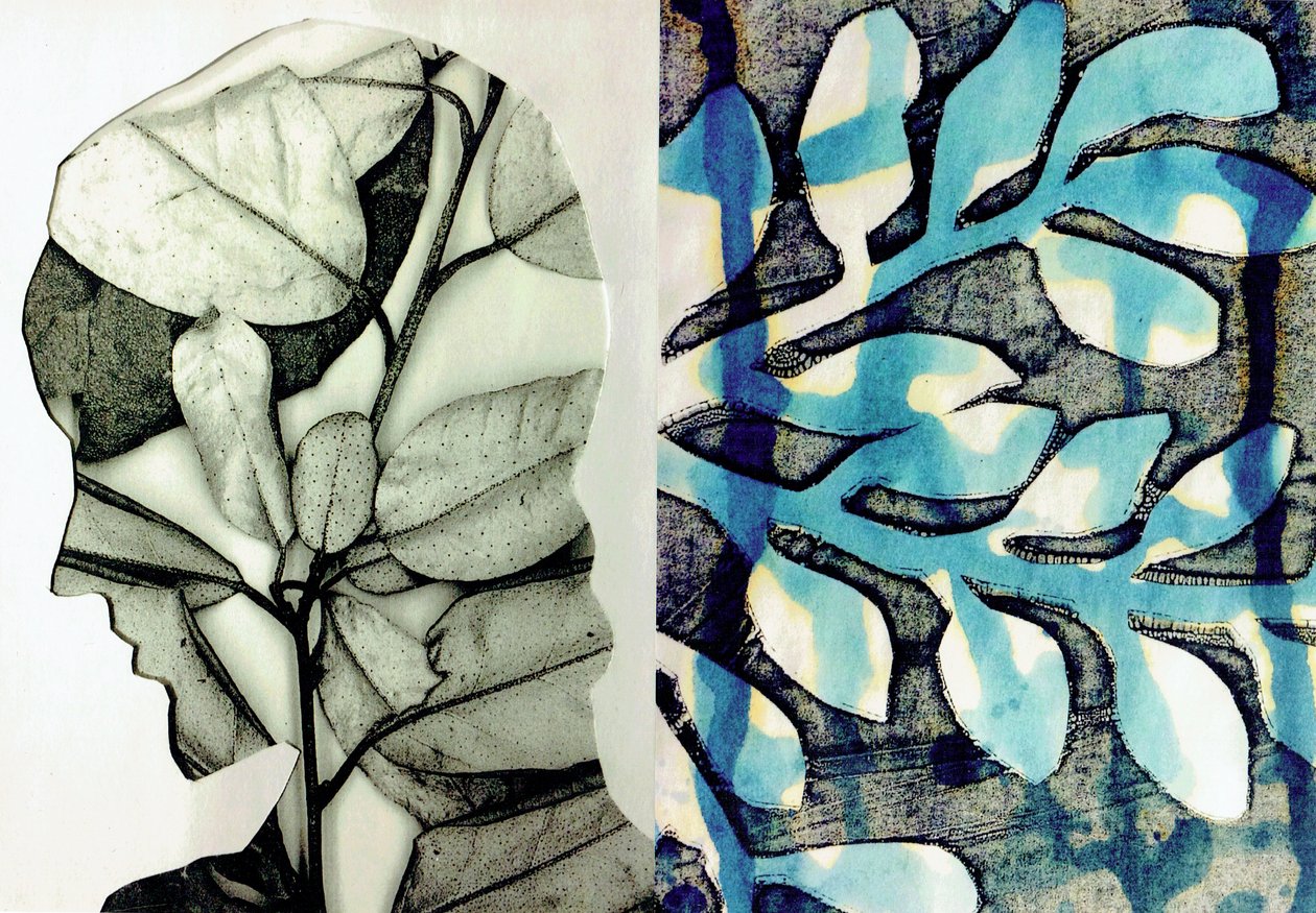 La Foret X，2017（拼贴画） 作者 史蒂芬·道