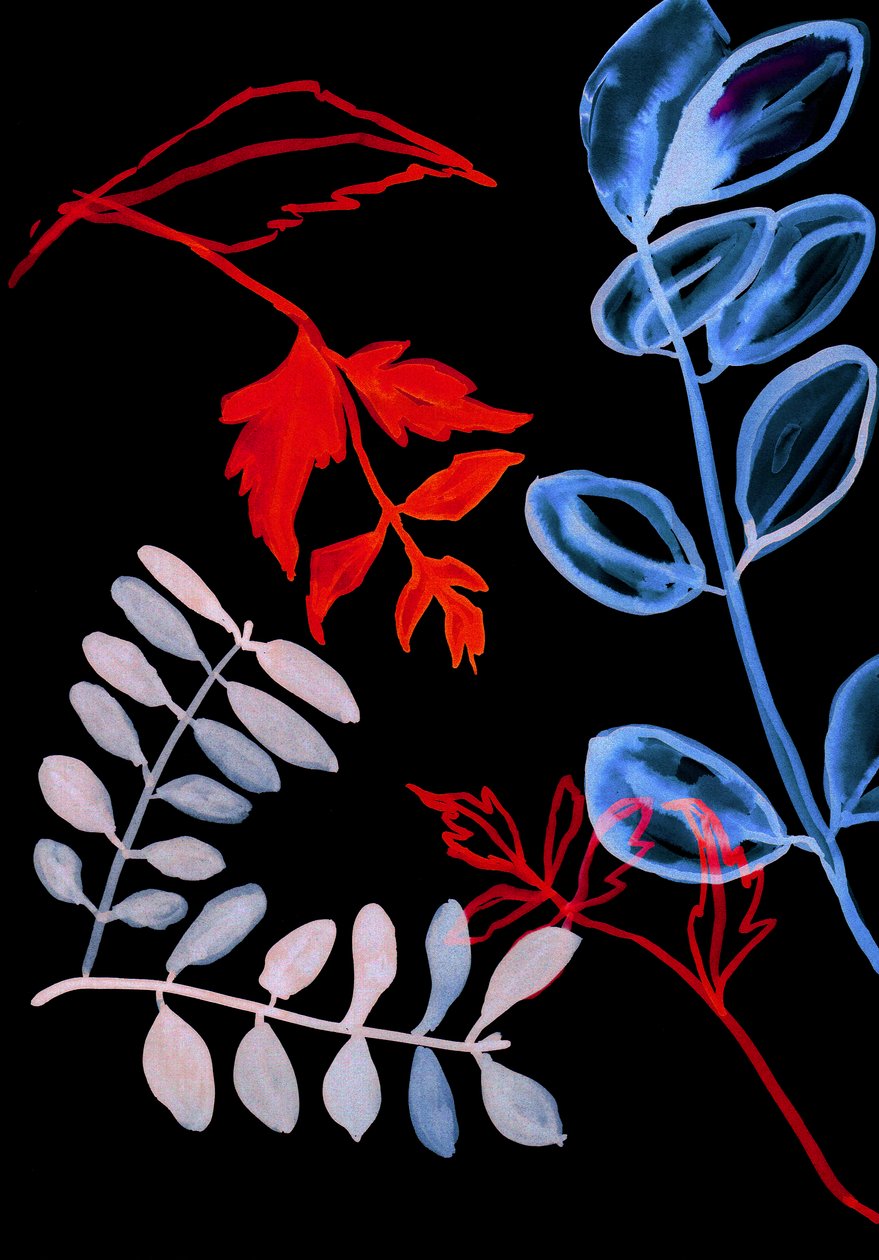 夜花四号，2018（数字） 作者 史蒂芬·道
