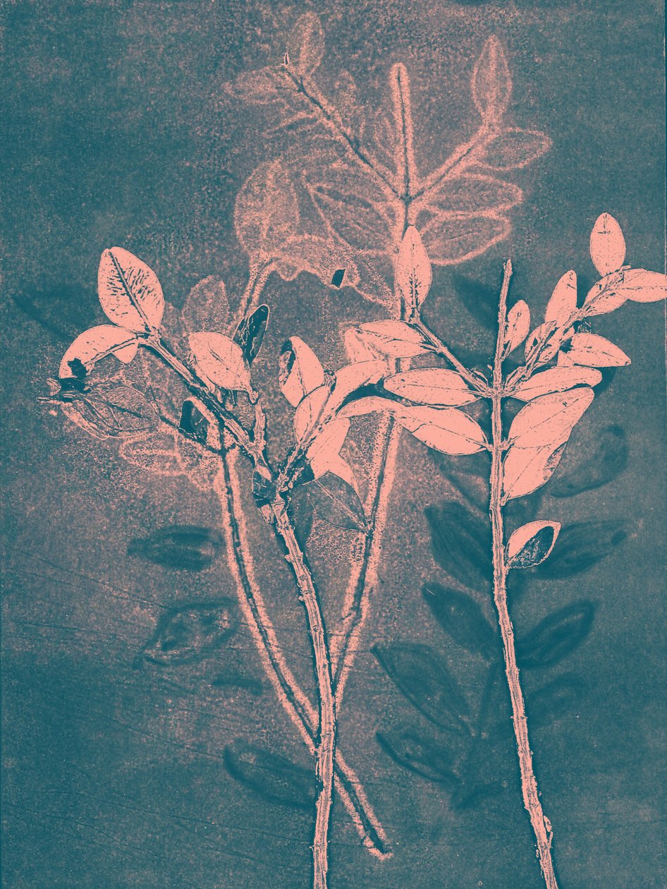 2018 年第六季（数字版） 作者 史蒂芬·道