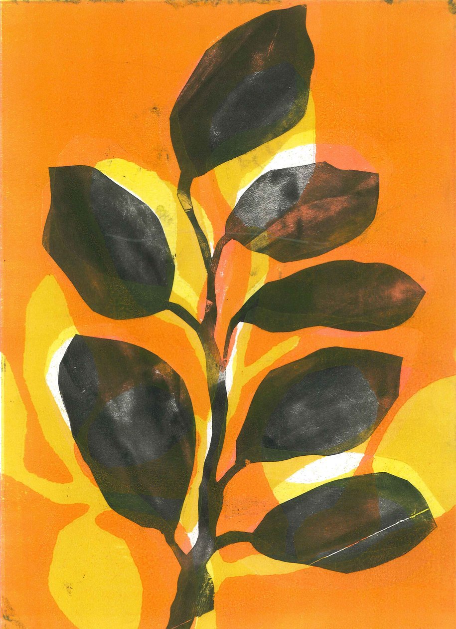 夏日花园》，2015 年（纸上单版画） 作者 史蒂芬·道