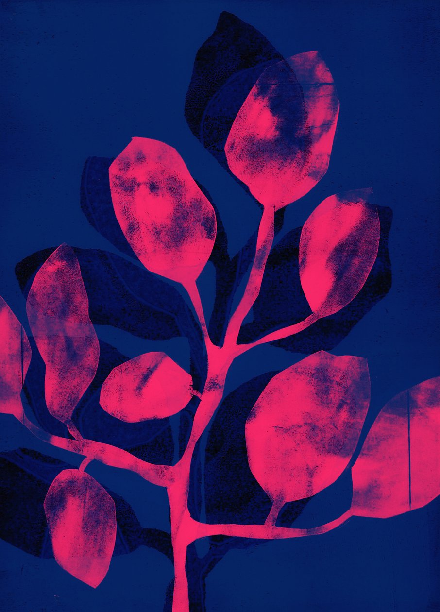 夏日花园 III 粉色，2018 年（数字） 作者 史蒂芬·道
